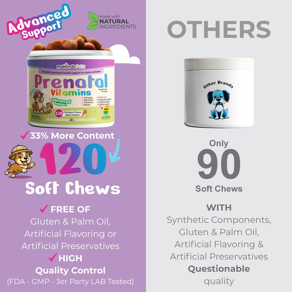 Makondo Pets nursing support for moms and puppies during lactation