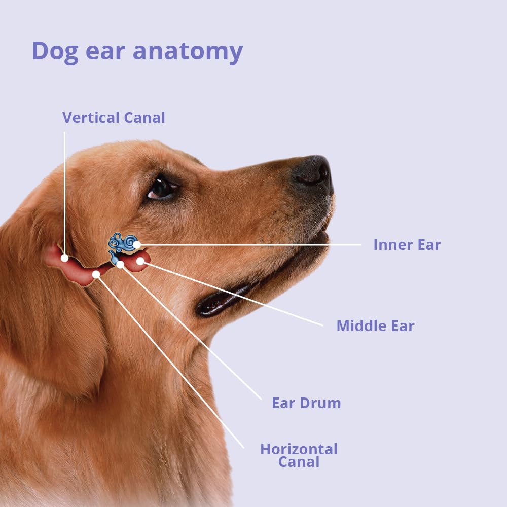 Mal-A-Ket Plus TrizEDTA Flush in-use image illustrating convenient ear and skin care.