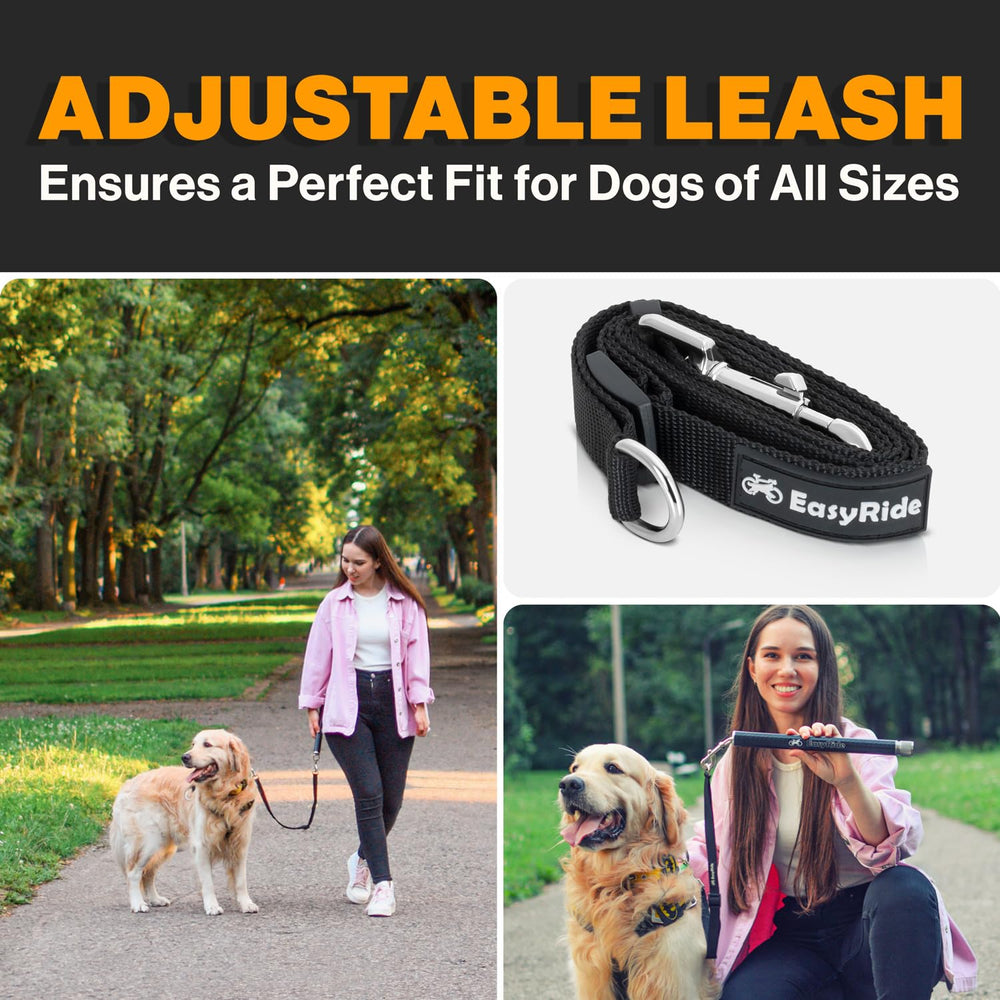 Malabi detachable adjustable leash shows customizable fit for dogs.