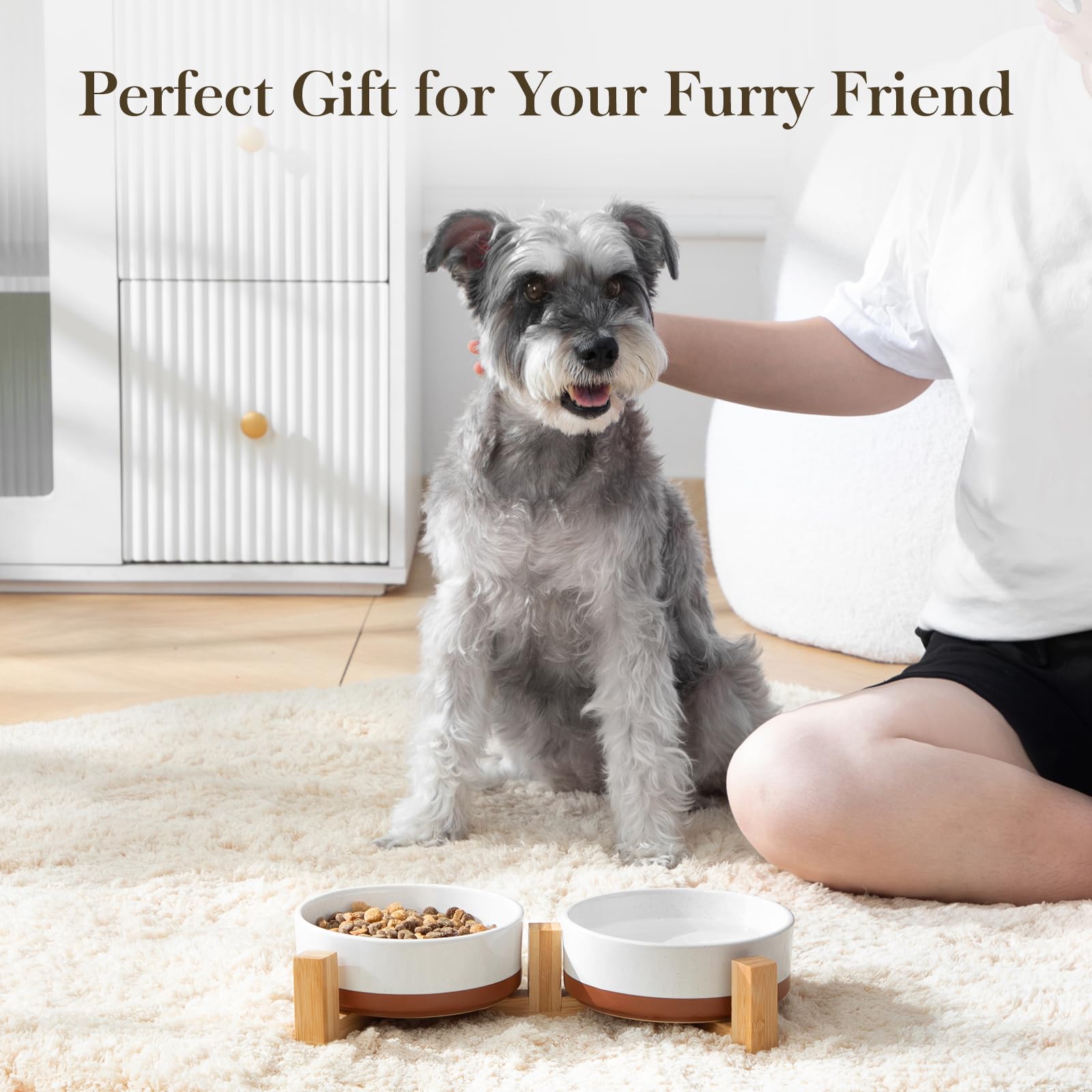 MALACASA packaging display, small-size bowls set for cats and small dogs.