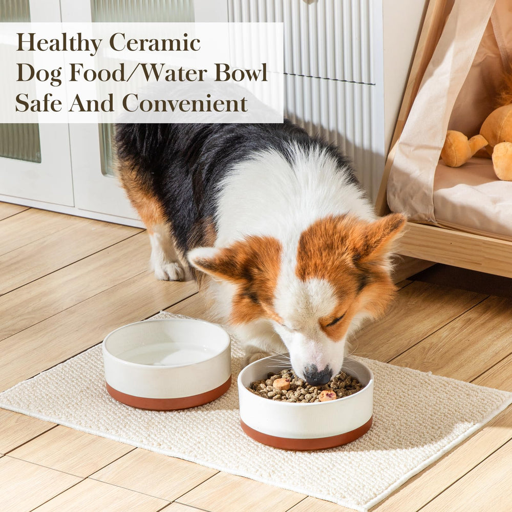 MALACASA bowl with rounded inside corners supports ergonomic feeding.