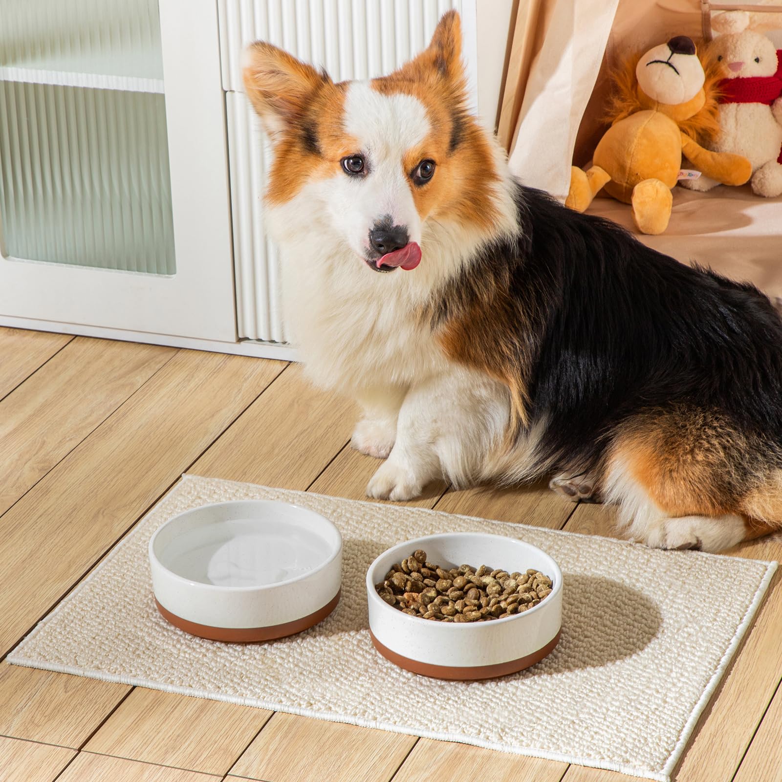 MALACASA thick-walled ceramic bowl resists nudging from active dogs.
