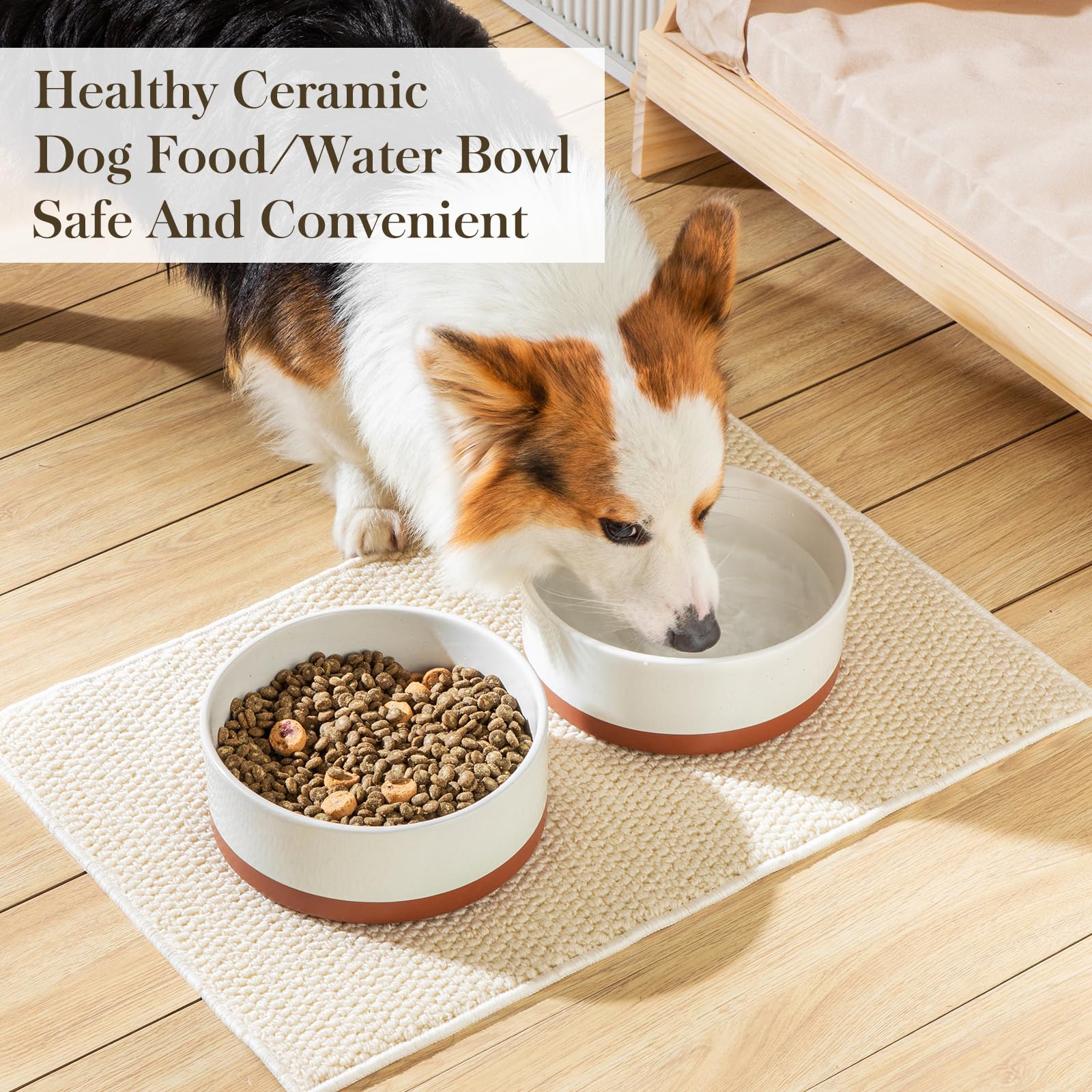 MALACASA dog bowl with bone imprint design adds playful aesthetic to mealtime.