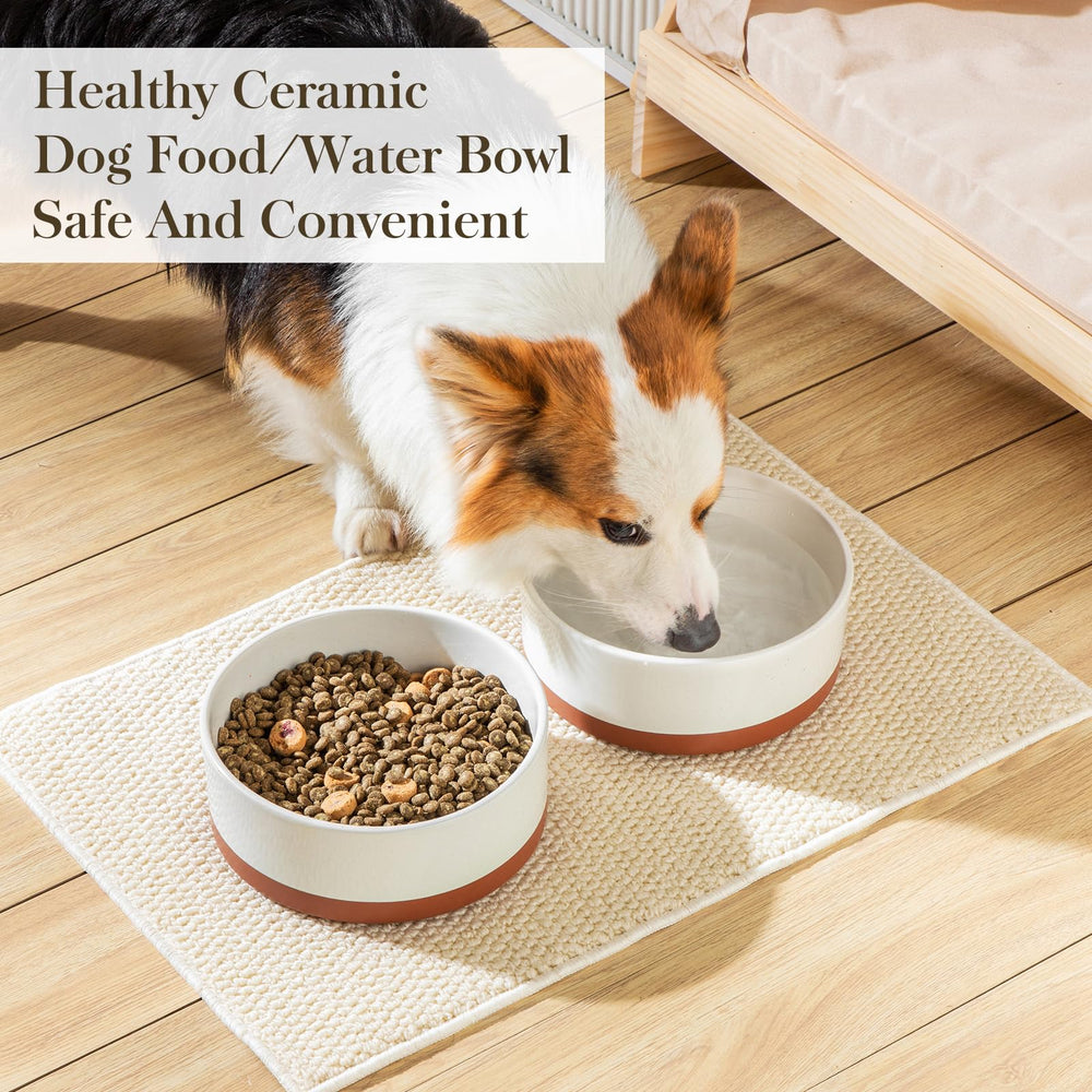 MALACASA dog bowl with bone imprint design adds playful aesthetic to mealtime.