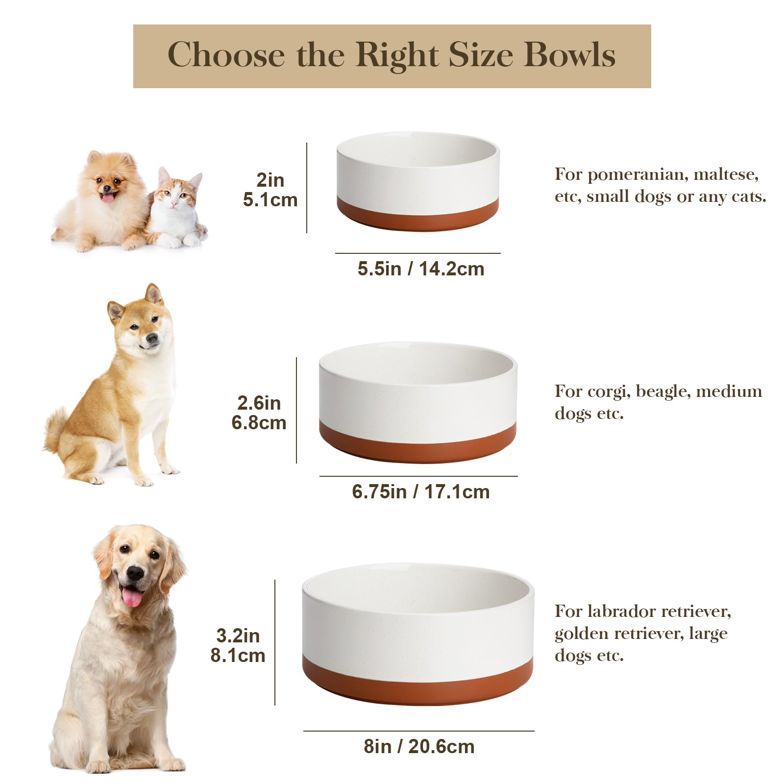 MALACASA ceramic dog bowls with bone imprint bottom for charming mealtime
