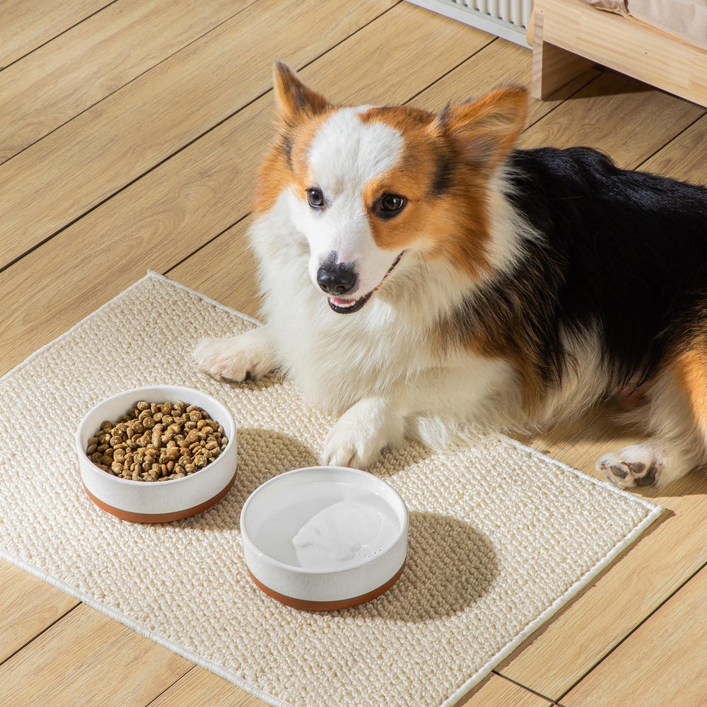 MALACASA ceramic bowls suited for small dogs and puppies
