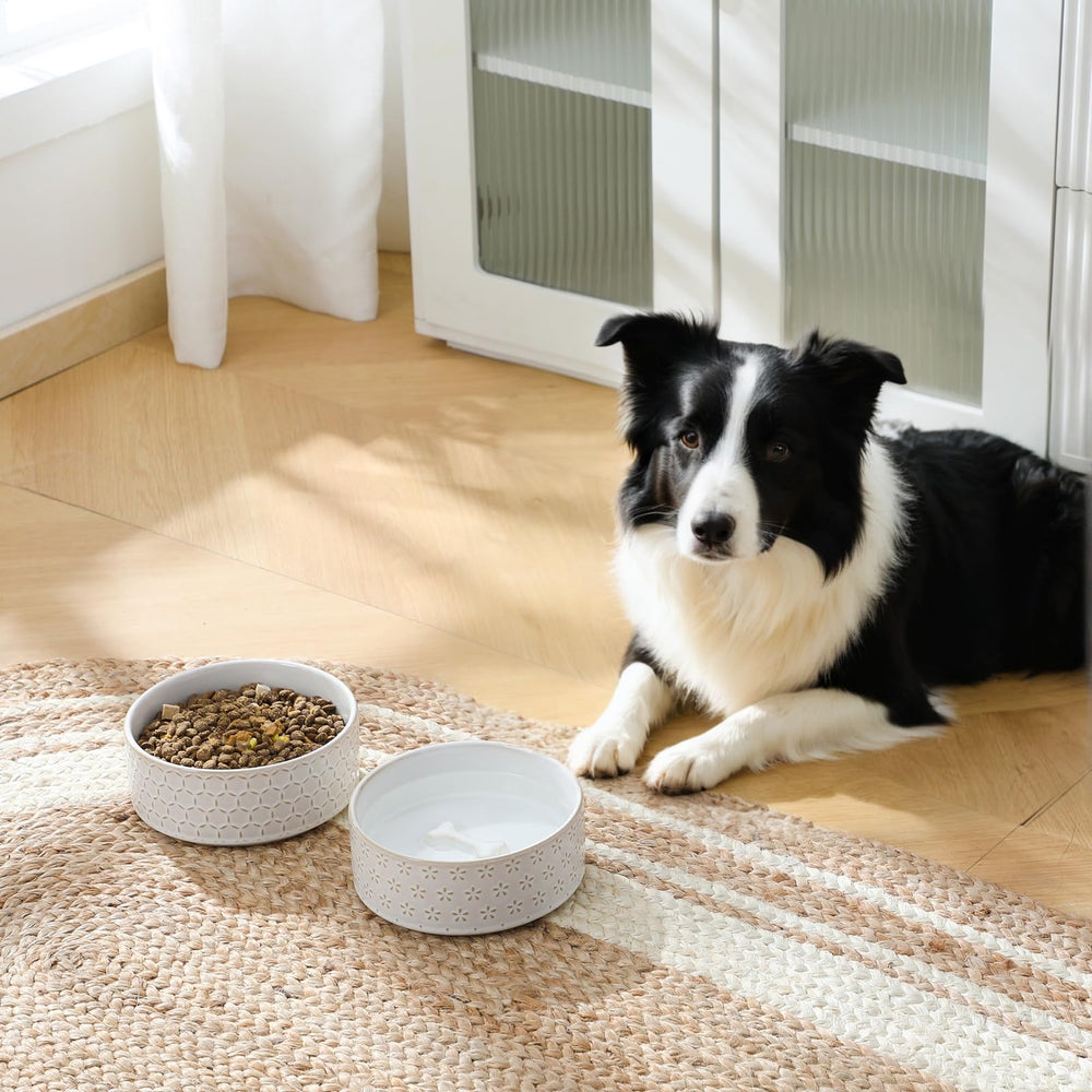 MALACASA Lydia dog bowl bottom bone-decor adds playful charm