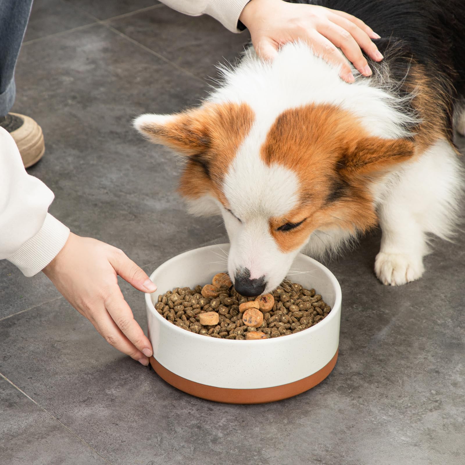 MALACASA modern design dog bowl blends with kitchen decor and pet areas.