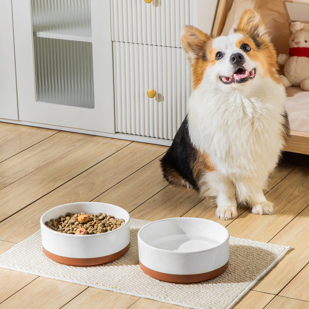 MALACASA thickened-wall ceramic bowl durability for active dogs.