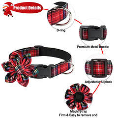 Malier adjustable dog collar showing range for small to large dogs.