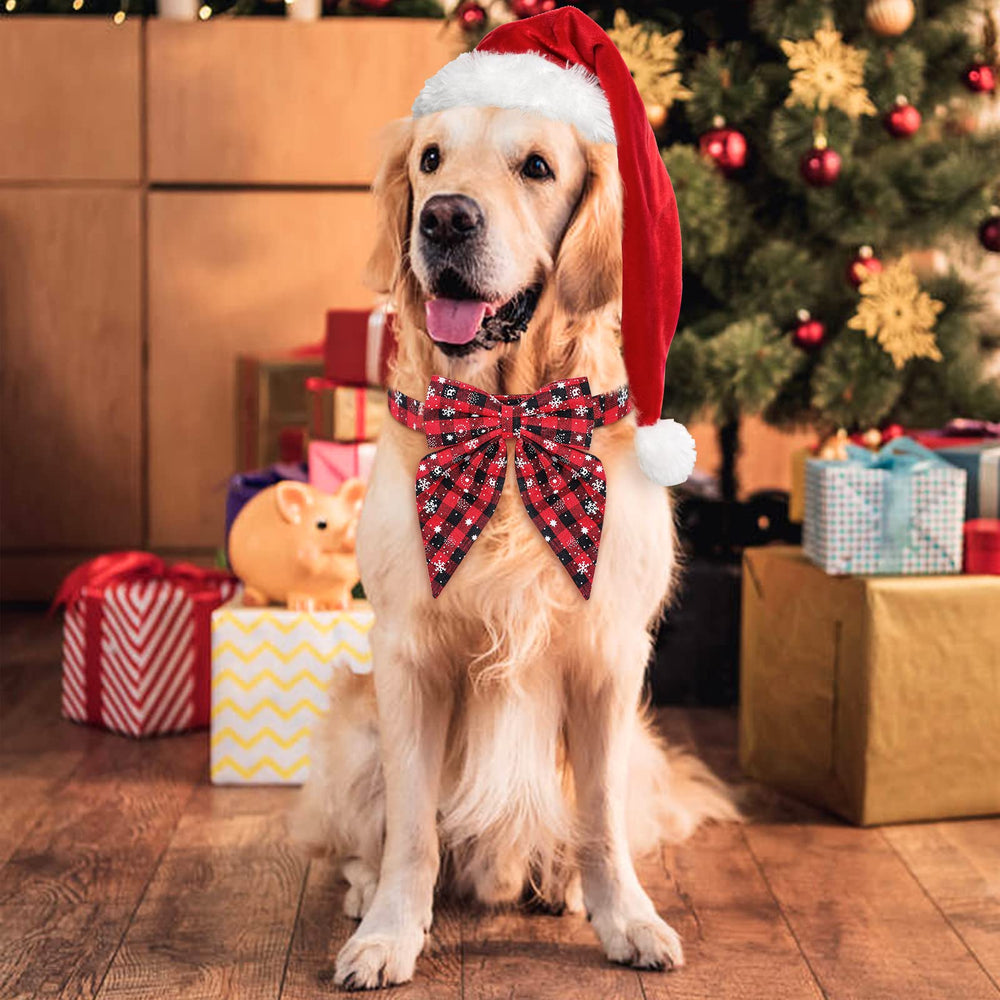 Malier adjustable dog collar suitable for small to large dogs during walks.