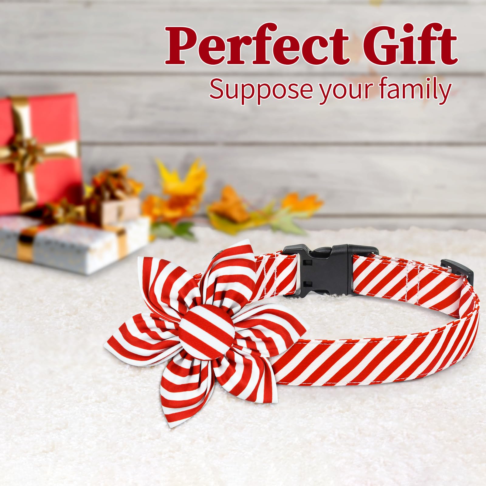 Malier adjustable dog collar provides a customizable fit for all sizes.