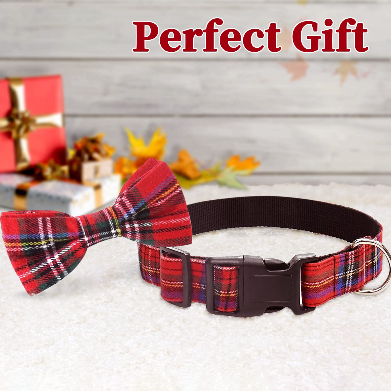 Malier bow tie attached to collar for quick dressing and holiday vibes