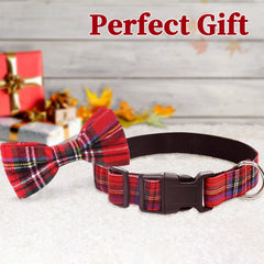 Malier bow tie attached to collar for quick dressing and holiday vibes