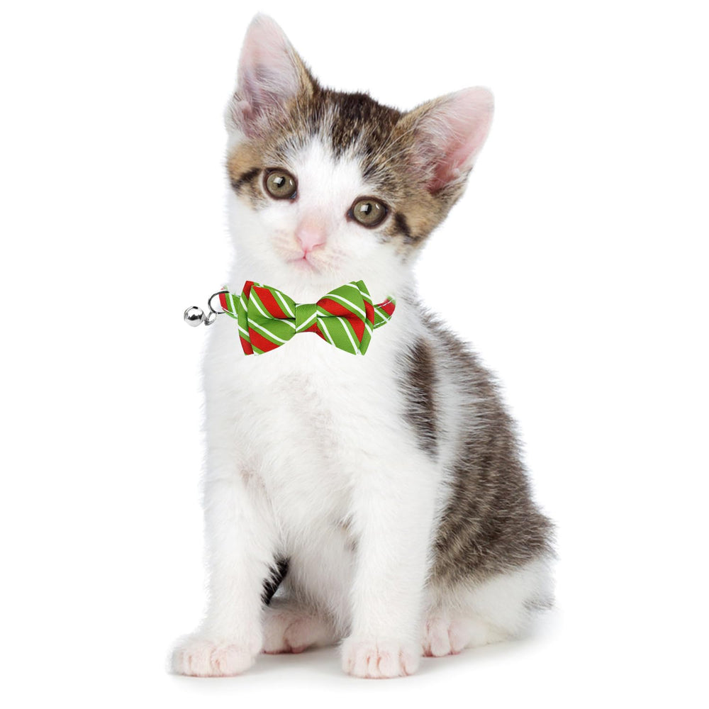 Malier cat collar adjustable from 6 to 10 inches