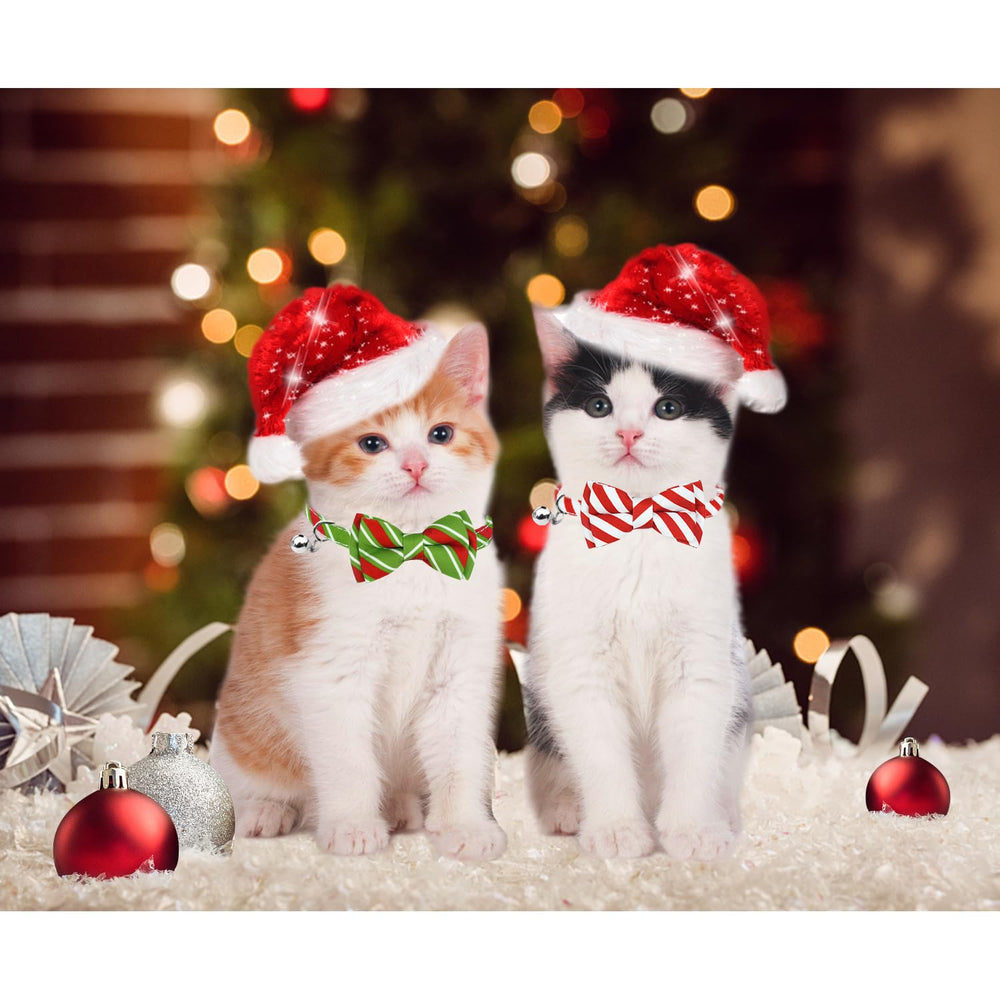 Malier cat collar bell helps locate your cat indoors