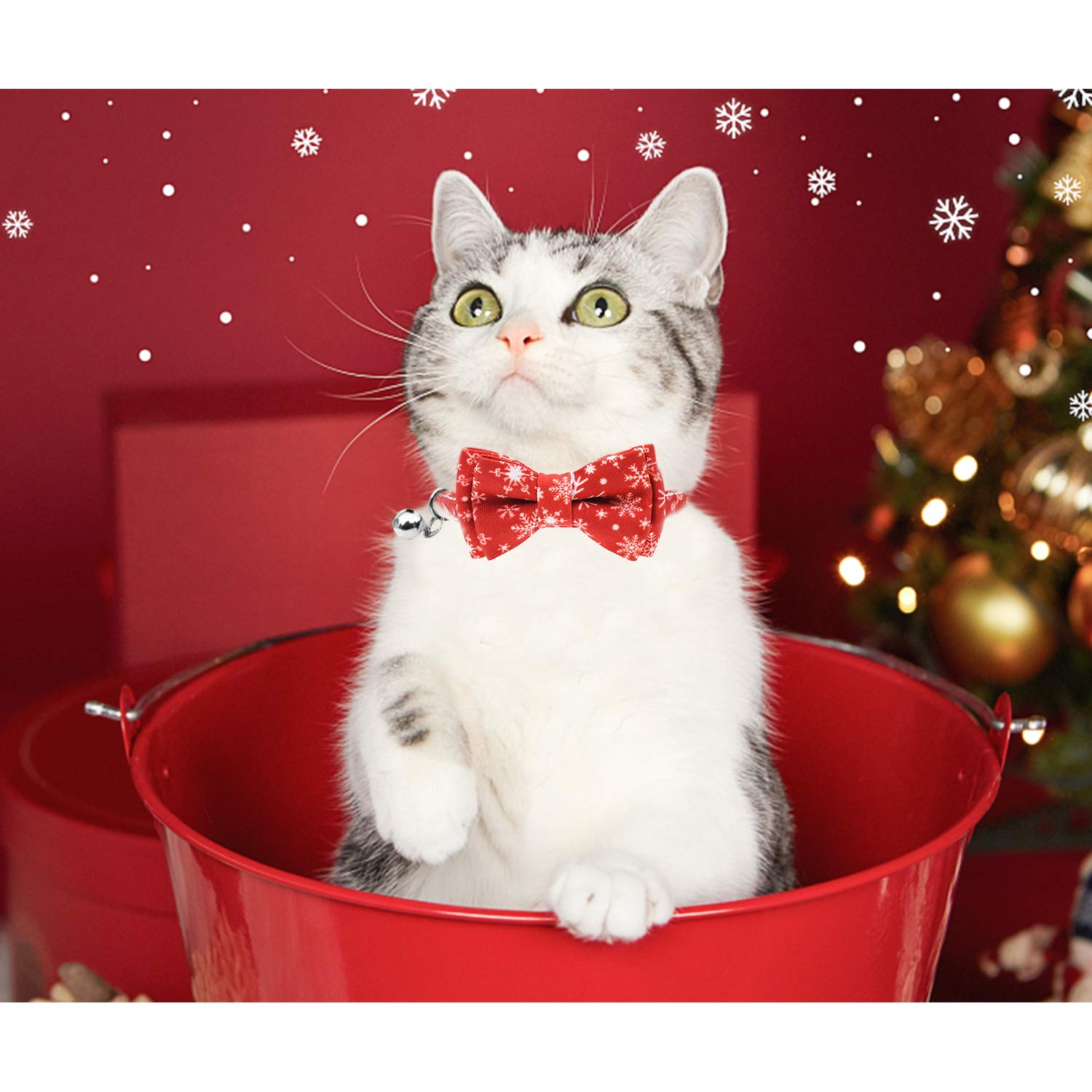 Malier collar on buffalo plaid backdrop highlights holiday style for your cat