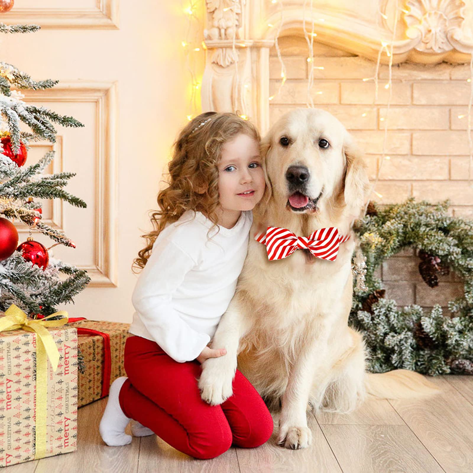 Malier Christmas Collar with Bowtie red stripe, lightweight yet sturdy design.