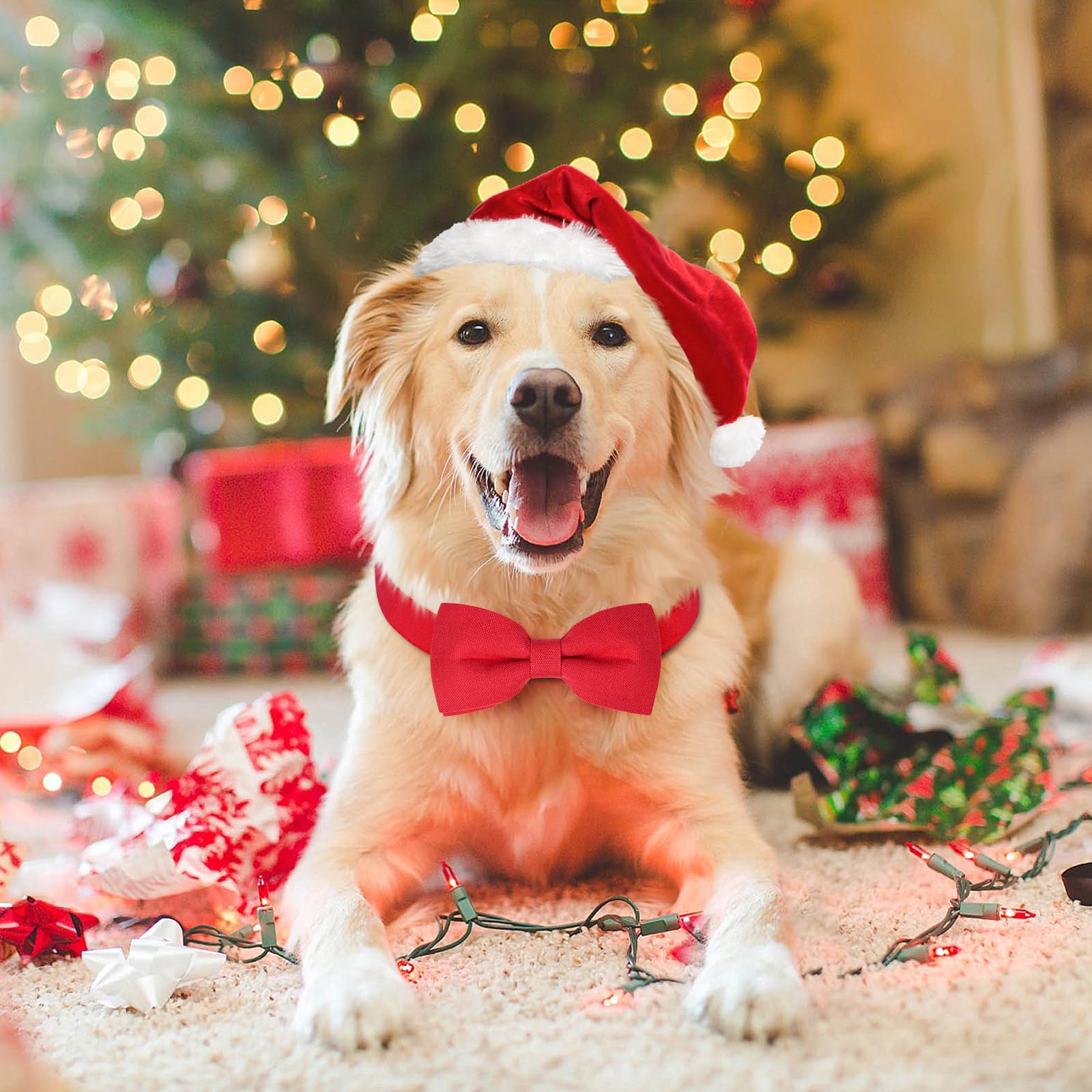Malier Christmas collar buckle detail highlighting eco-friendly buckle and safe design.