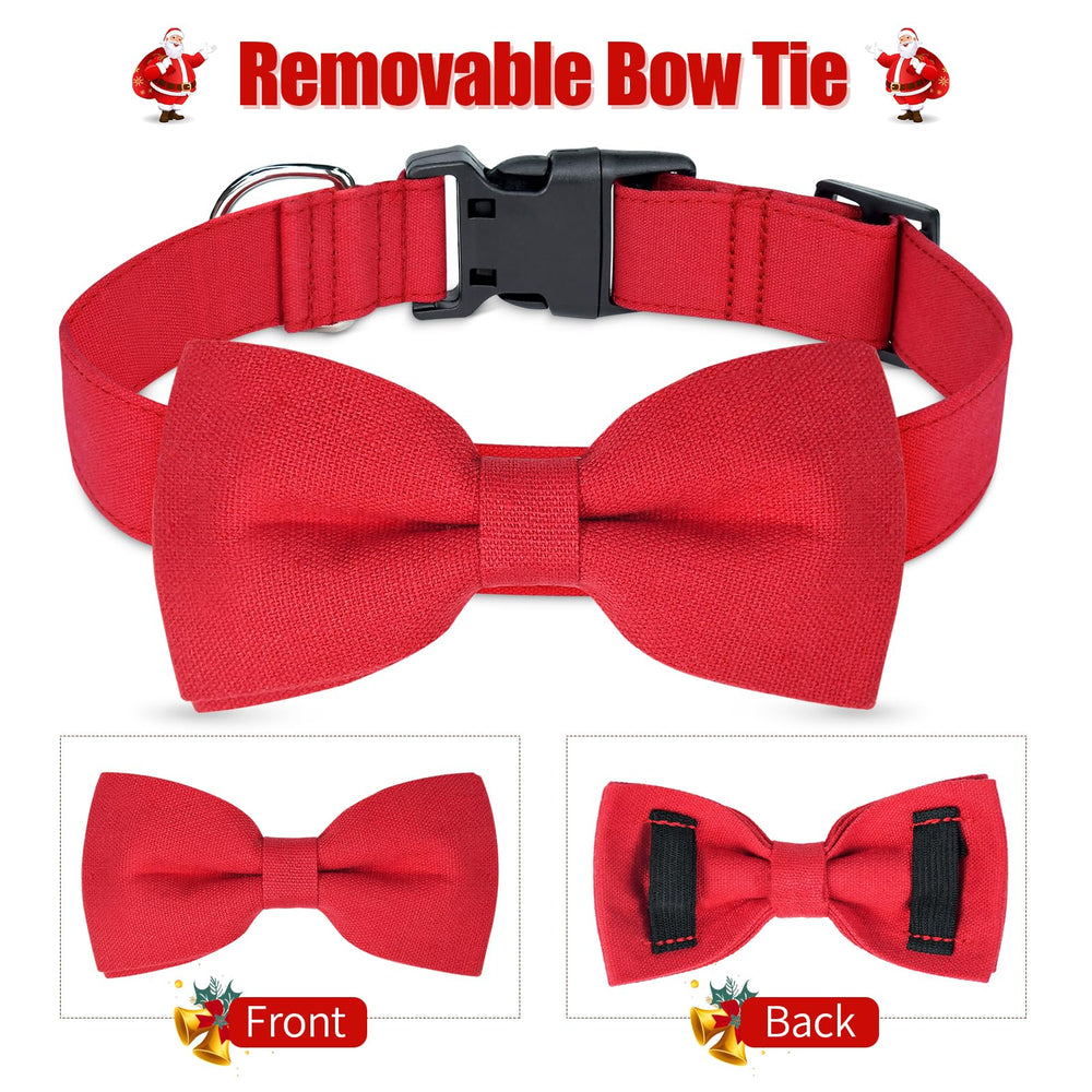 Malier Christmas collar D-ring detail emphasizing secure leash attachment.