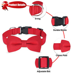Malier Christmas collar in holiday photos for dogs or cats.
