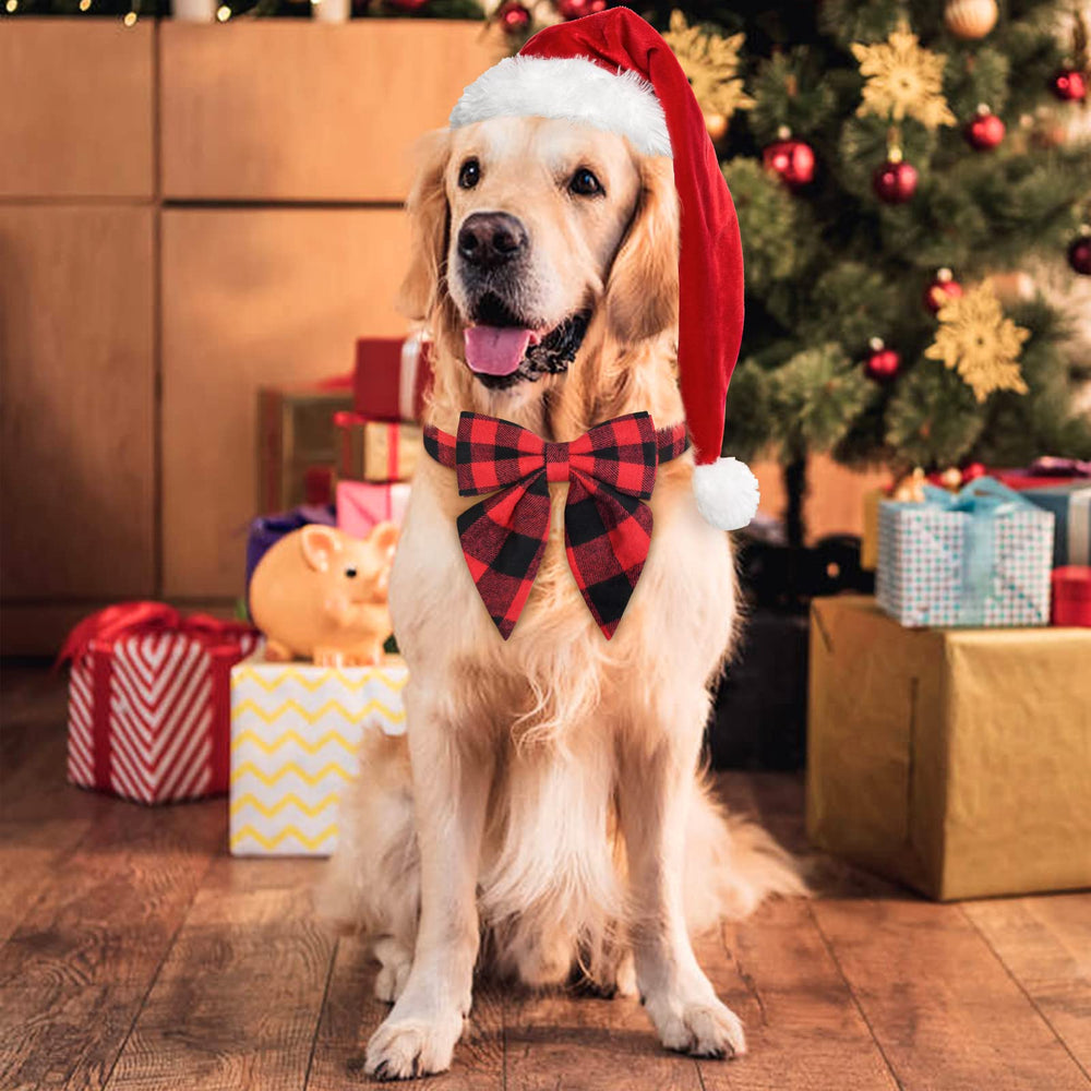 Malier Christmas collar packaging and size guide helps you choose the right fit.