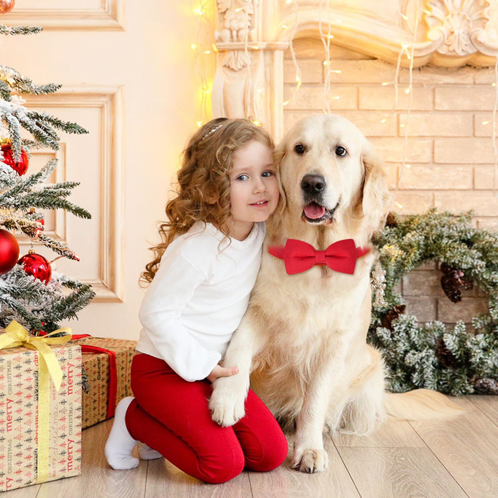 Malier festive collar material showcasing lightweight, durable fabric.