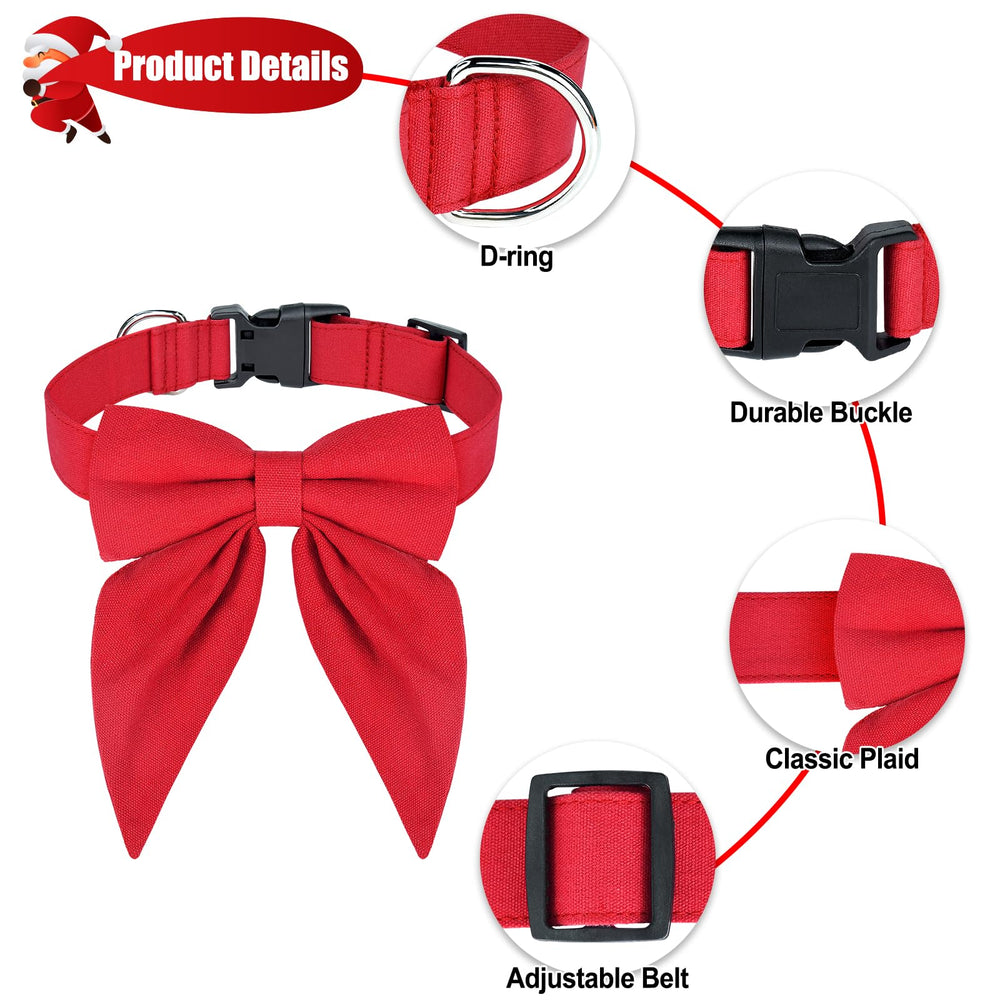 Malier adjustable small red collar ready for a secure daily wear.