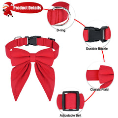 Malier adjustable small red collar ready for a secure daily wear.