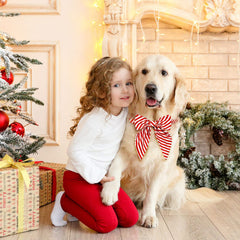 Malier Christmas dog collar bowtie red stripe adjustable strap for a secure fit