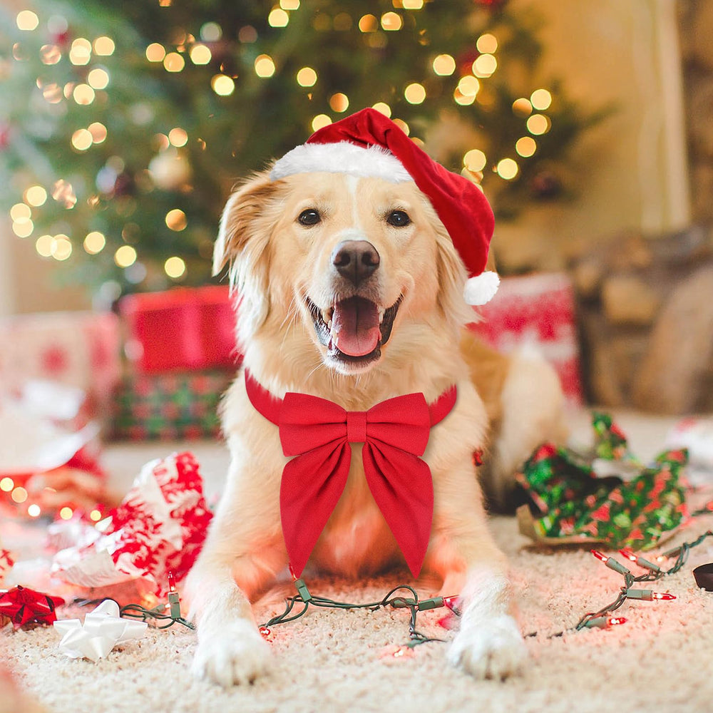 Malier red bow-tie collar showing removable bow tie for holiday styling.