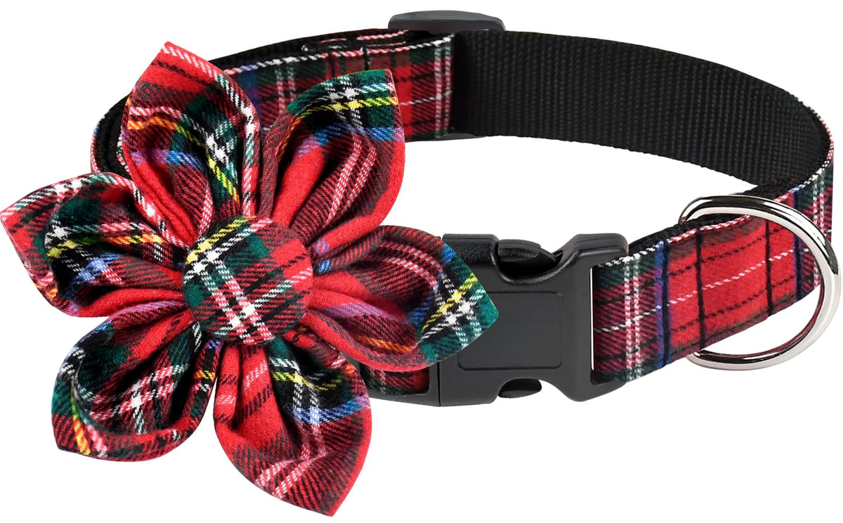 Malier Christmas dog collar buffalo plaid worn on a dog for festive walks.