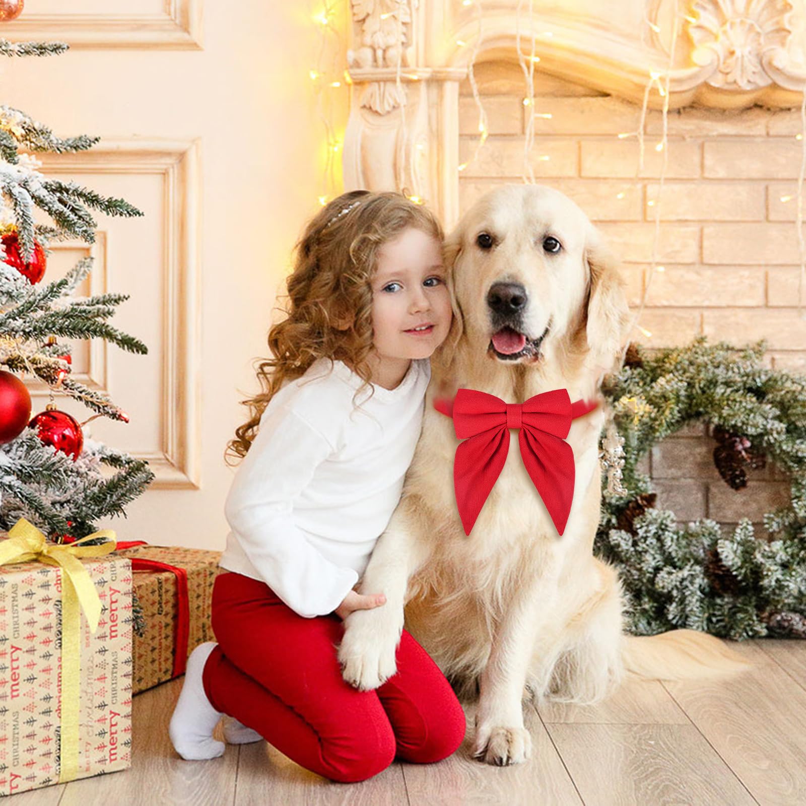 Malier Christmas collar for cats and dogs suitable for multiple occasions in red.
