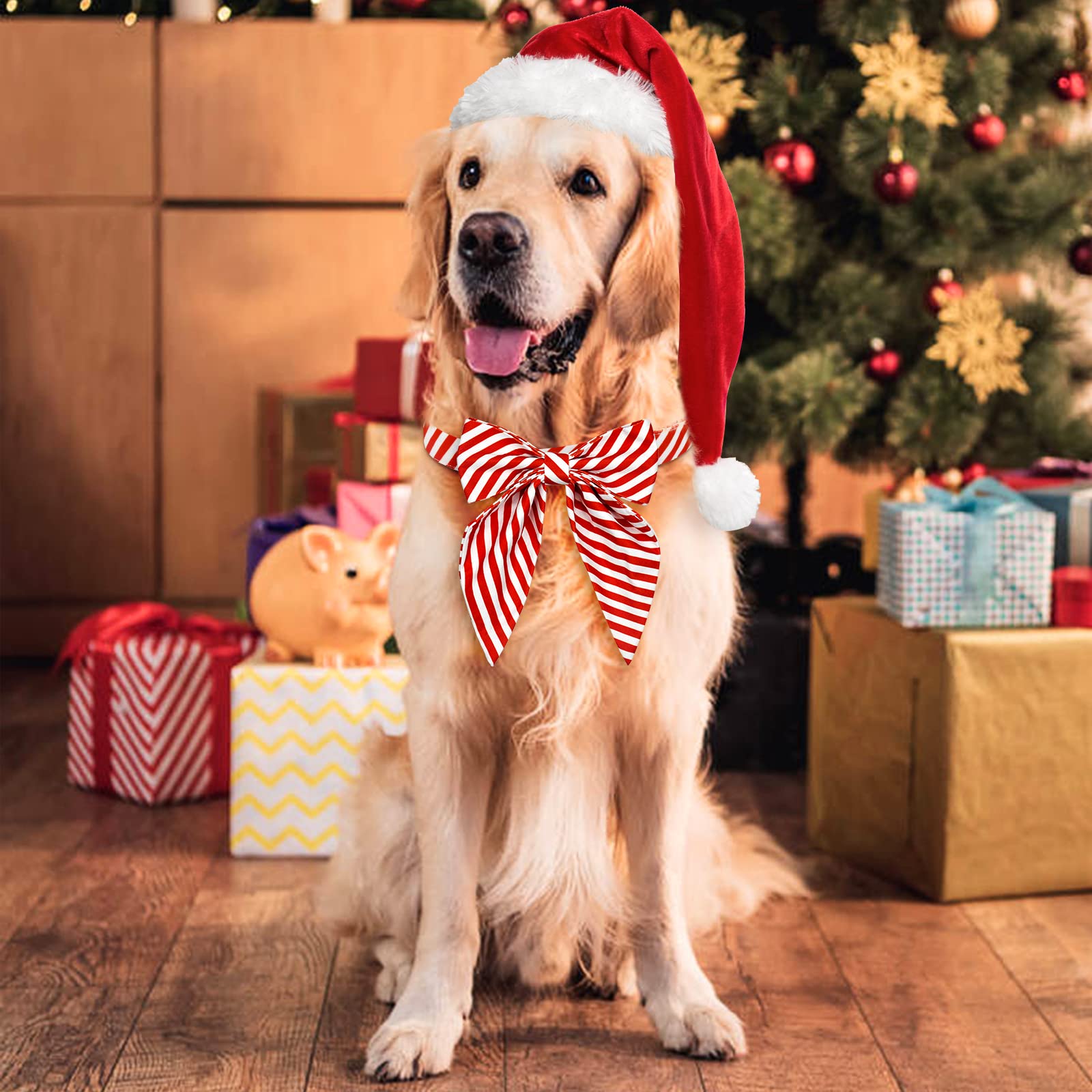 Malier dog collar with cat-friendly use example, suitable for small pets and holiday outfits.