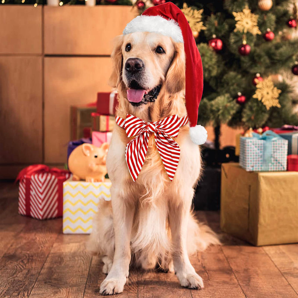 Malier dog collar with cat-friendly use example, suitable for small pets and holiday outfits.