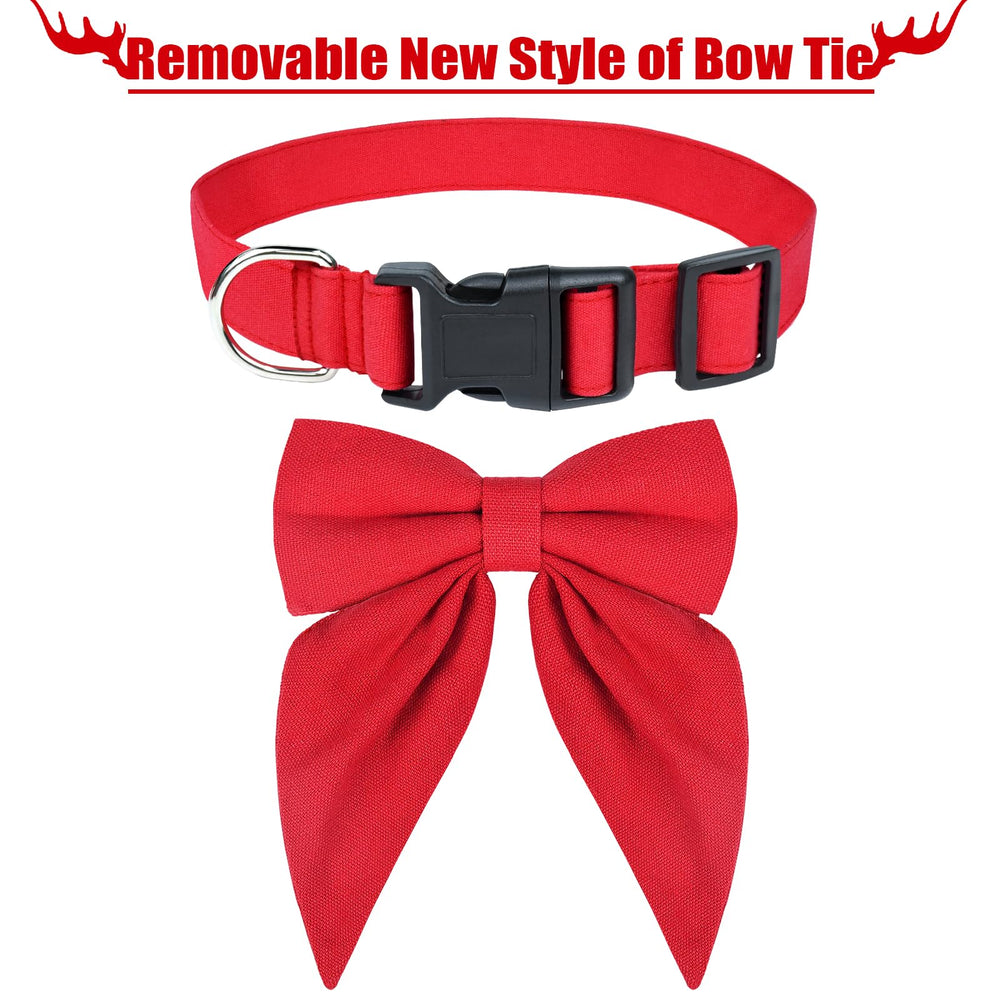 Durable buckle and D-ring on Malier red collar for easy fitting and tag security.