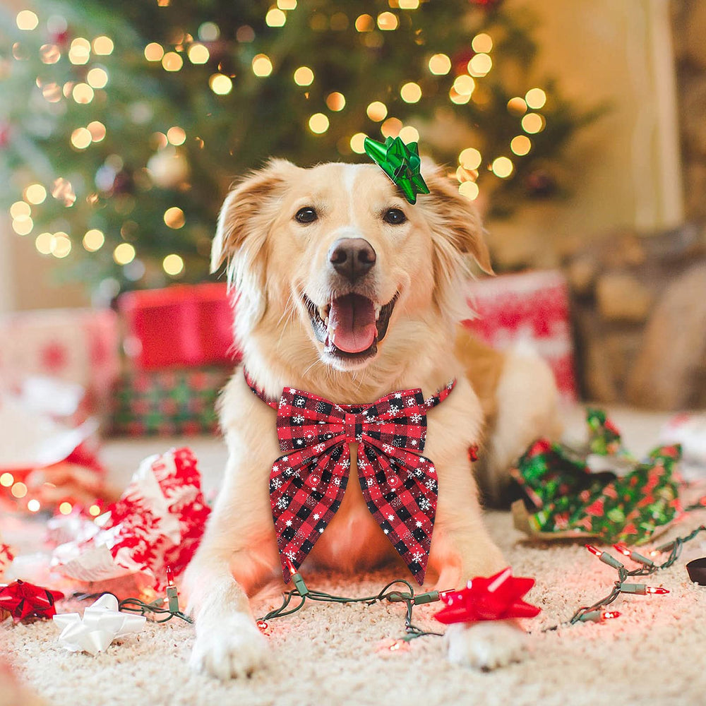 Malier Christmas dog collar on a dog during holiday party photos.