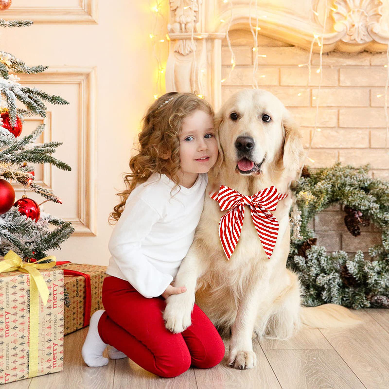 Malier packaged Christmas collar image, ready gift option for pet lovers this season.
