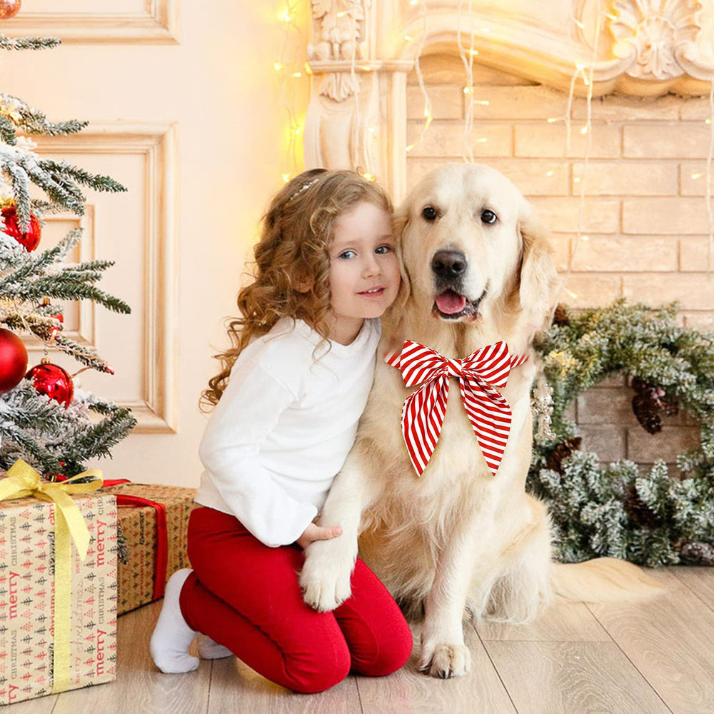 Malier packaged Christmas collar image, ready gift option for pet lovers this season.