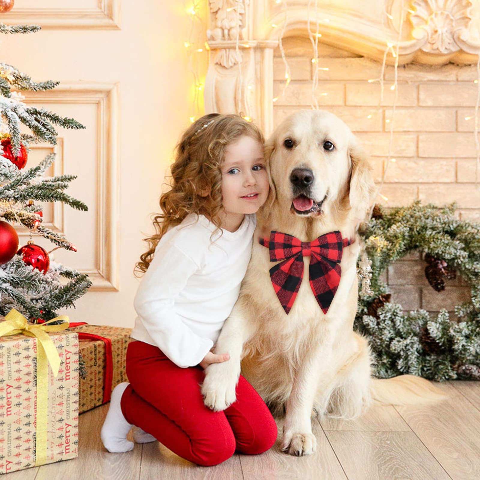 Malier Christmas dog collar with bow-tie worn on dog for holiday look.