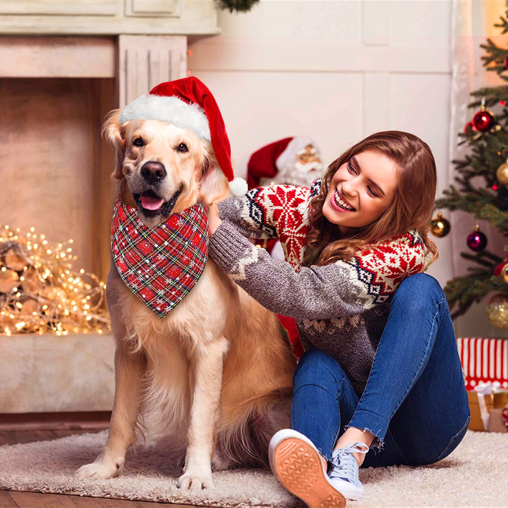Malier Christmas pet bandana used as festive photo prop for holidays.