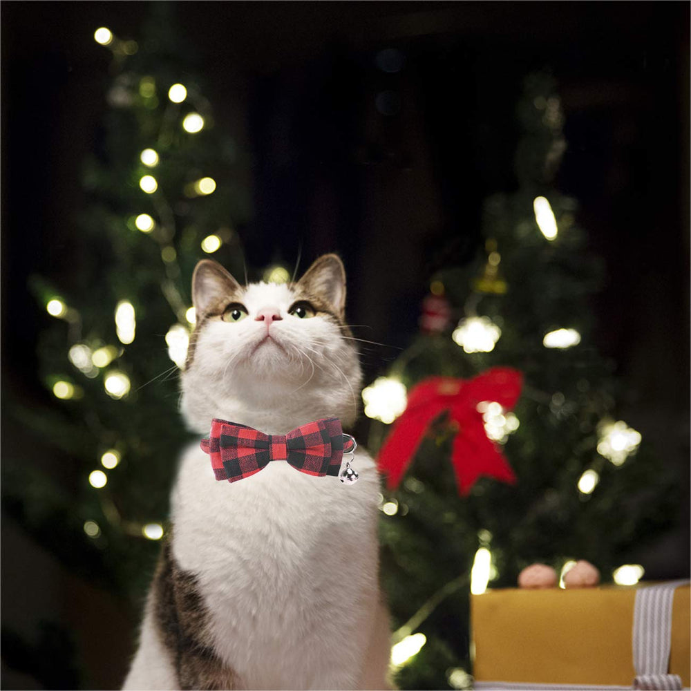 Malier cotton strap collar offering lightweight, skin-friendly comfort