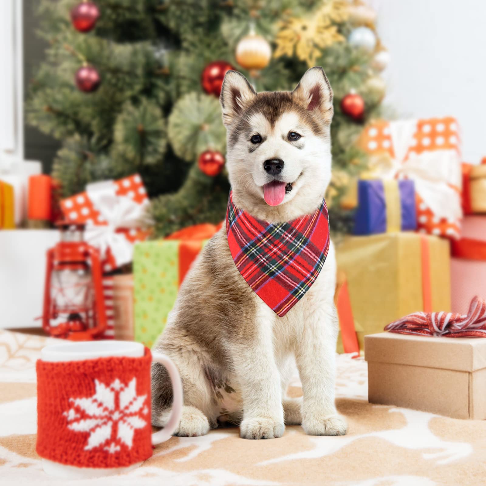 Malier dog bandana classic plaid red styled as a festive pet costume