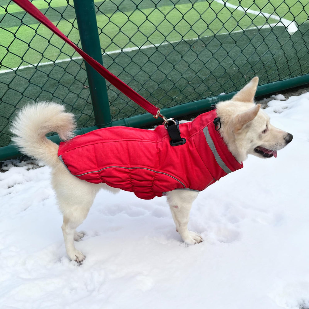 Malier red x-large coat back with harness-zip design for easy leash attachment.
