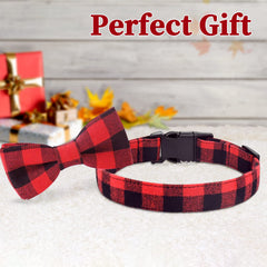 Malier dog collar buckle close-up illustrating durable buckle and easy on-off.