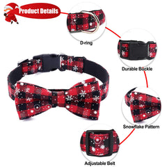 Malier safety-release buckle on dog collar for easy, secure wearing.