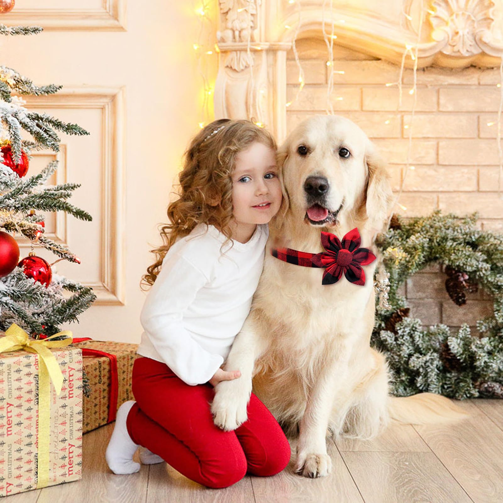 Malier dog collar suitable for Christmas parties and daily wear