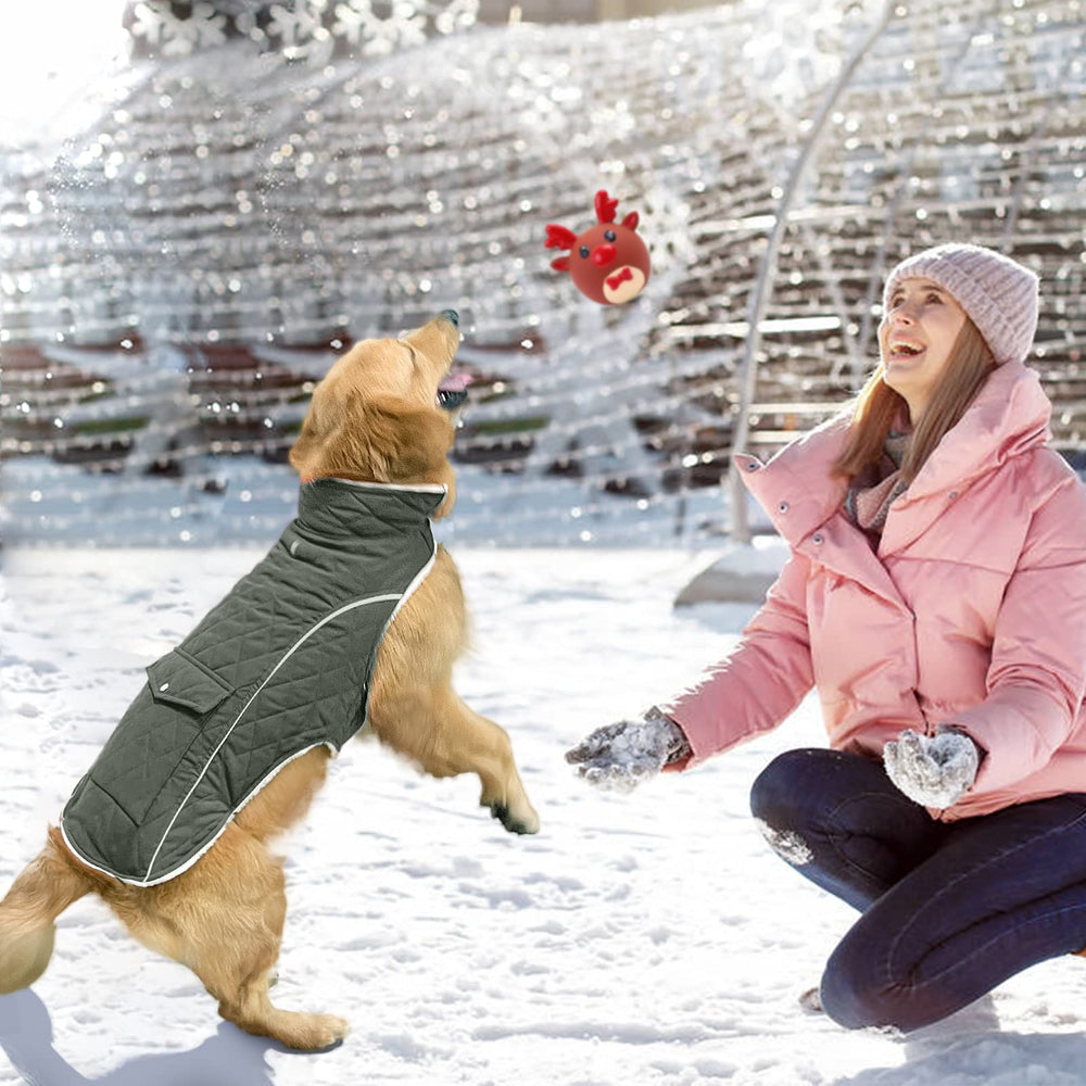 Malier green winter jacket includes leash hole for secure tethering.