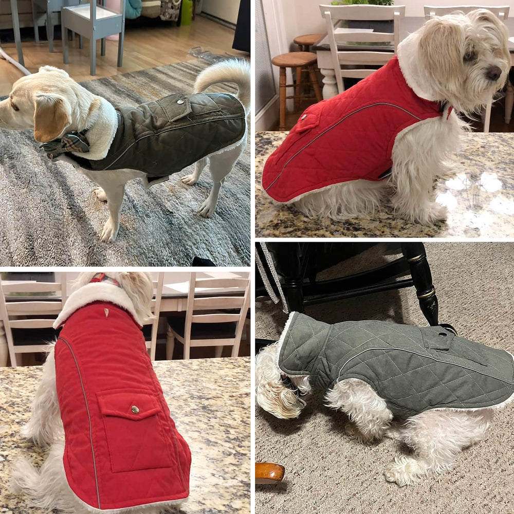 Malier dog winter coat reflective strips enhance visibility in low light.