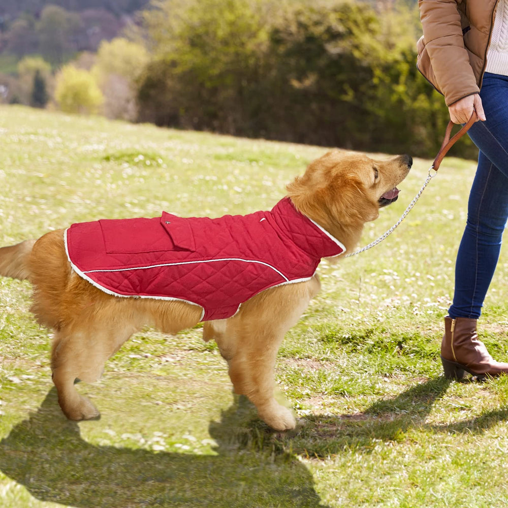 Malier dog winter coat size chart shows seven sizes for a comfy fit.